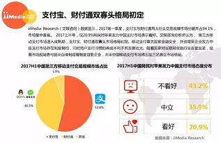 2017上半年中國第三方移動支付市場研究報告 高清版解析